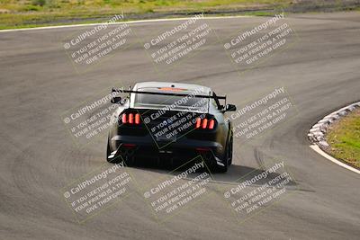 media/Feb-25-2024-Speed Ventures (Sun) [[b9a2a97a4d]]/Mustang Drivers Club/Session 1 (Turns 4 and 5)/